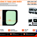 Ford Transit 2024 Kính Lưng (P)